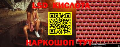 прущие крисы Ипатово