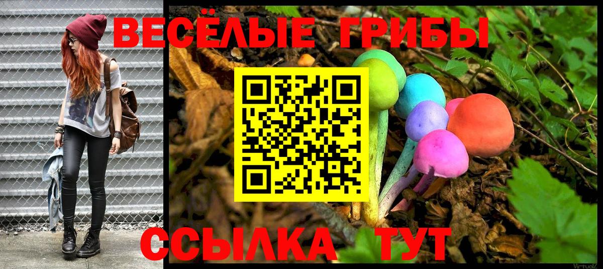 Псилоцибиновые грибы Psilocybe  Галлюциногенные грибы MAGIC MUSHROOMS  Майкоп  Вход с VPN 